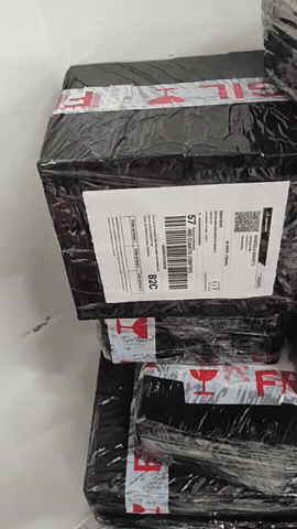 Env&iacute;o real de pedido Seugen